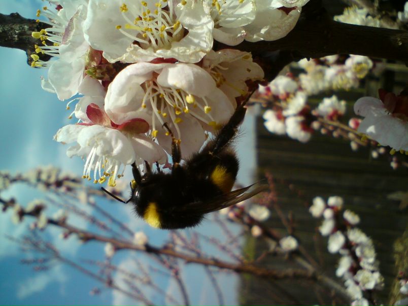 №35, Андрюха Євгеньєв, 36 лет, Житомир №35, Андрюха Євгеньєв, 36 лет, Житомир