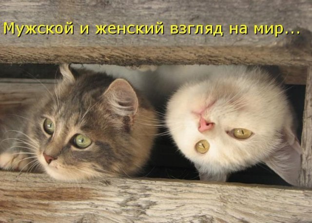 Дмитрий Папочкин | Москва