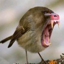 №52, Просто Так, 32 года, Москва №52, Просто Так, 32 года, Москва