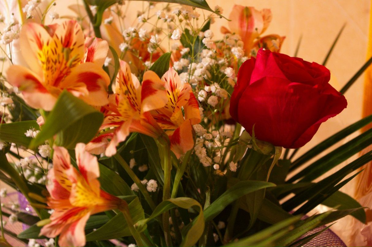 Наталья Тимофеева | 