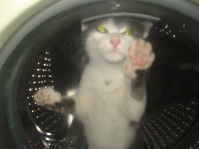 Ольга Орлова | Пермь