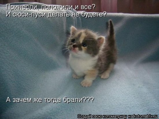 Анна Урденко-Лапковская Кисиус | Симферополь