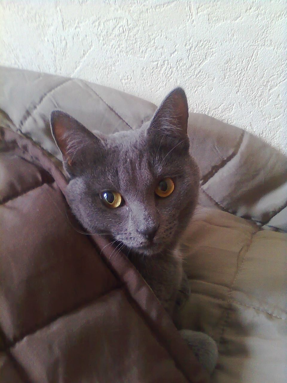 Ольга Замосковская | Санкт-Петербург