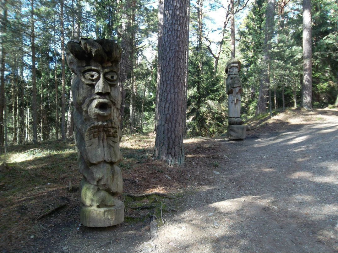 Константин Пигарёв | Санкт-Петербург