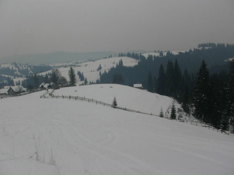 Серёга Летко | Васильков