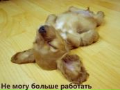 Фотография Дмитрий Абрамов