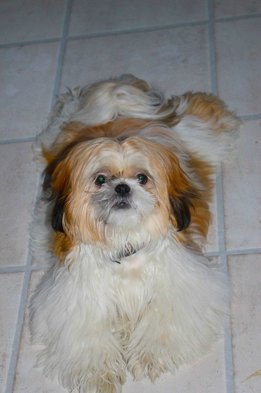 Екатерина Юрченко | 