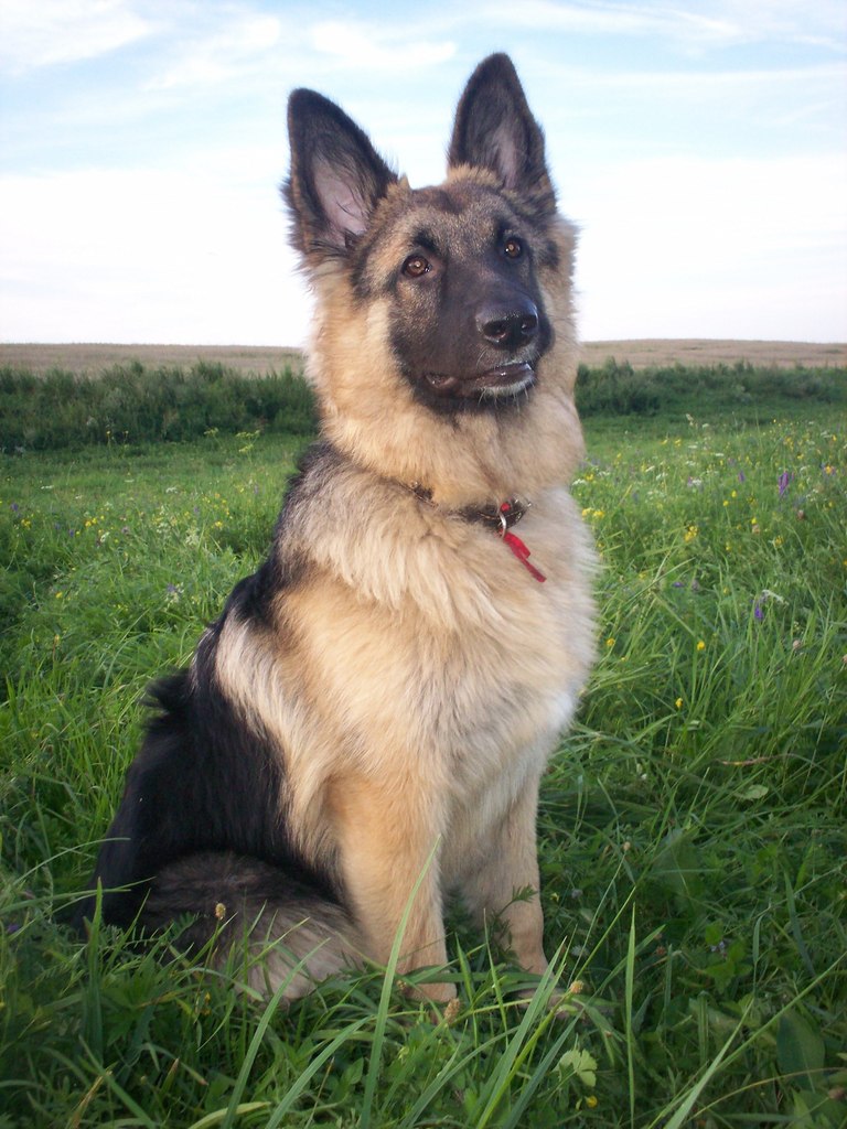 Оля Максимчук ♥Paradisial pleasure♥ | Луцк