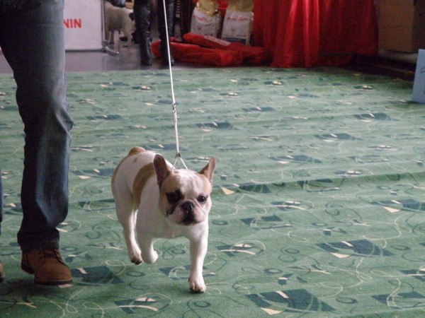 Алла Жукова | Рыбинск