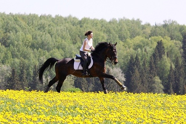 Panic Fear | | Баку