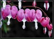 №37 Эльвира Анвартдинова : профиль, фото, статус - ВКонтакте №37 Эльвира Анвартдинова : профиль, фото, статус - ВКонтакте