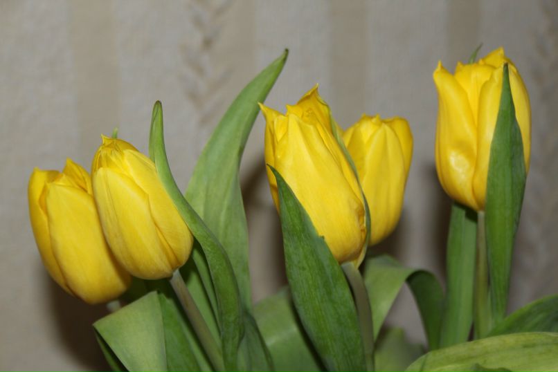 Ирина Тучка | Челябинск