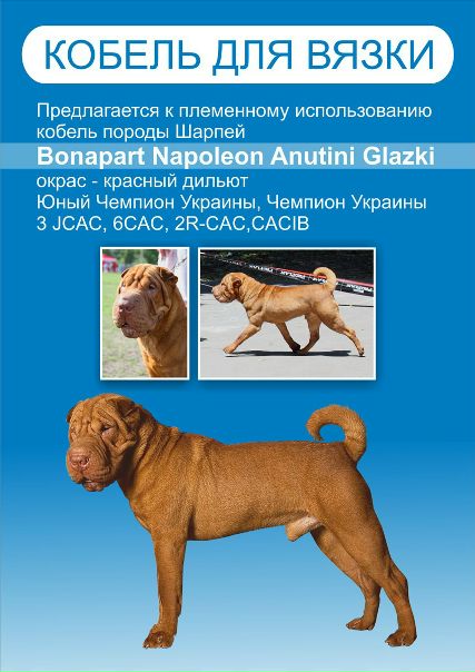 №27, Анна Даниленко, 41 год, Харьков №27, Анна Даниленко, 41 год, Харьков