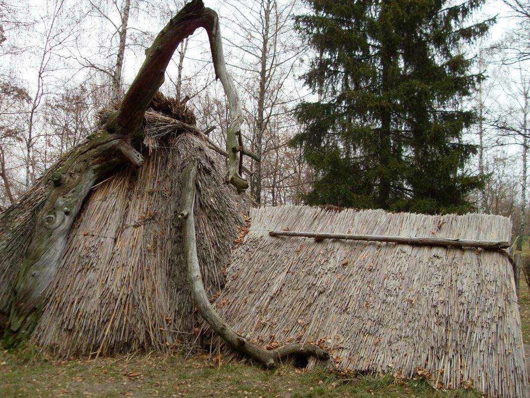 Оксана Синяговская | Кременчуг