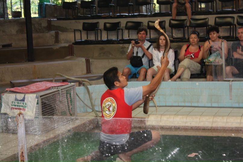 Александр Луковицкий | Санкт-Петербург