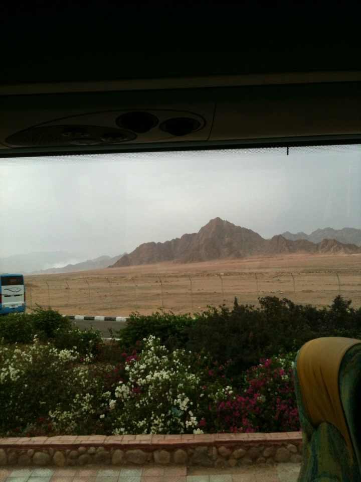 Олег Гаврилов | Санкт-Петербург