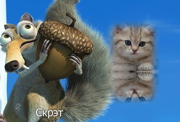 №26, Анастасия Долженко №26, Анастасия Долженко