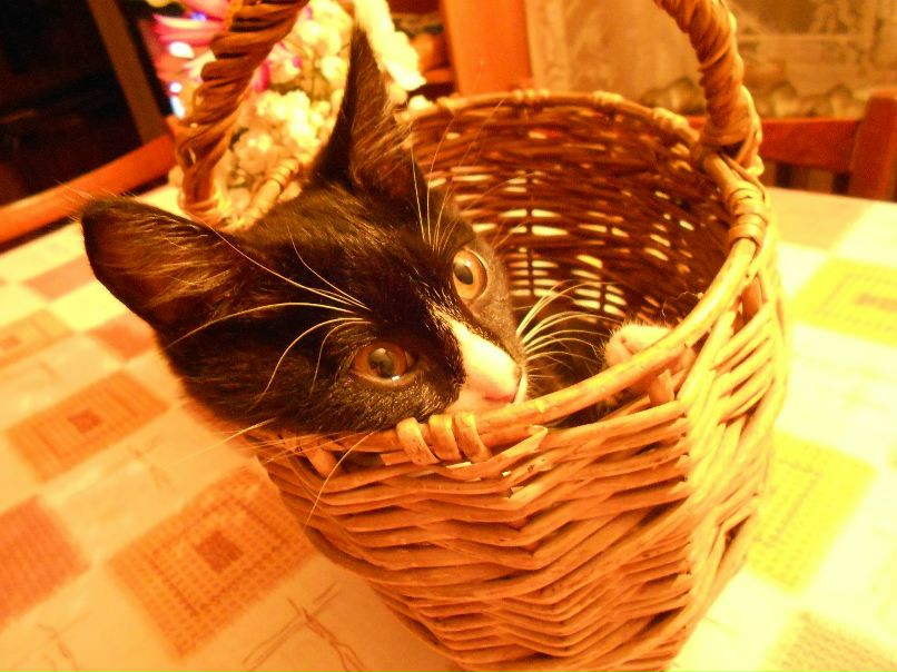 Светлана Смирнова | Сыктывкар