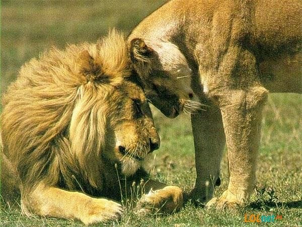 Алёнка Алексеева-Масалида | Москва