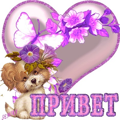 №54, Диана Иванова №54, Диана Иванова