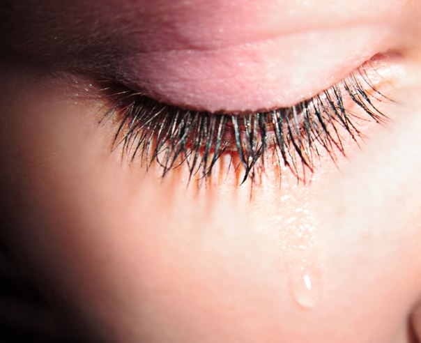 №24, Галина Смирнова, Ливны №24, Галина Смирнова, Ливны