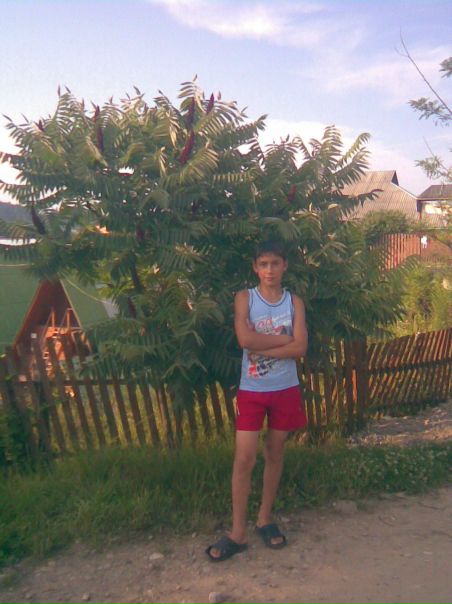 №162, Олег Кондратюк, Иванковцы (Старосинявская община) №162, Олег Кондратюк, Иванковцы (Старосинявская община)