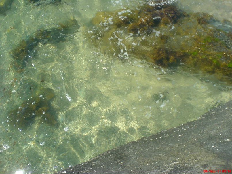 Vasia Pavlenko | Киев