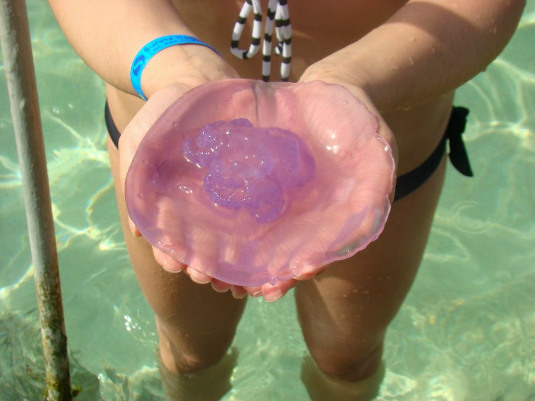 Анастасия Матвеева | Санкт-Петербург