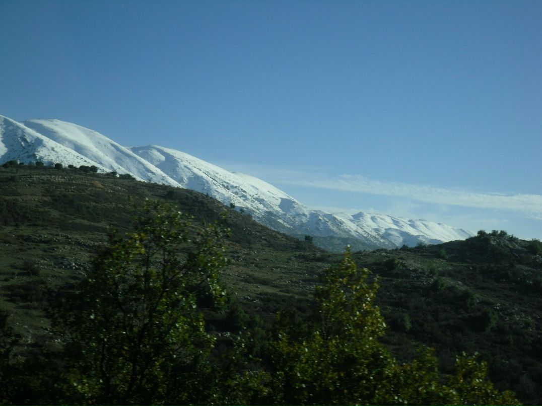 Евгений Харитонов | Чебоксары (деревня)