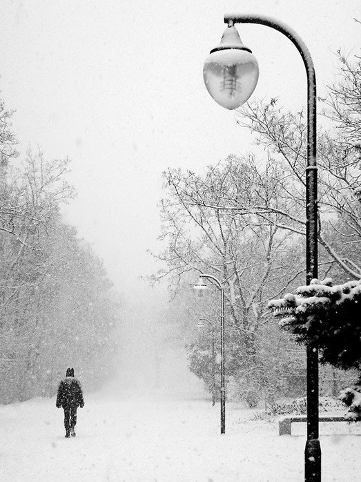 Елена Надеева | Малоярославец