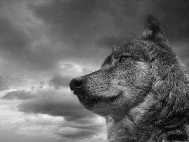 Александр Семенков ٩(̾●̮̮̃̾•̃̾)۶ | Москва