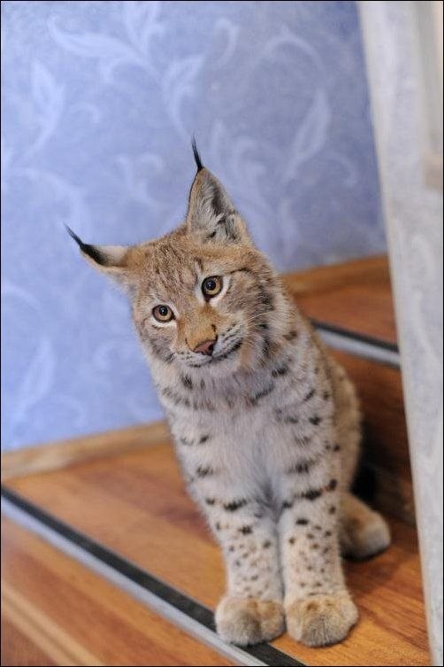 Ольга Емельянова | Москва