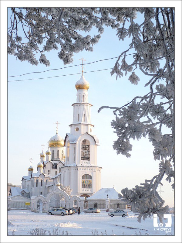 Дмитрий Пятунин | Ижевск