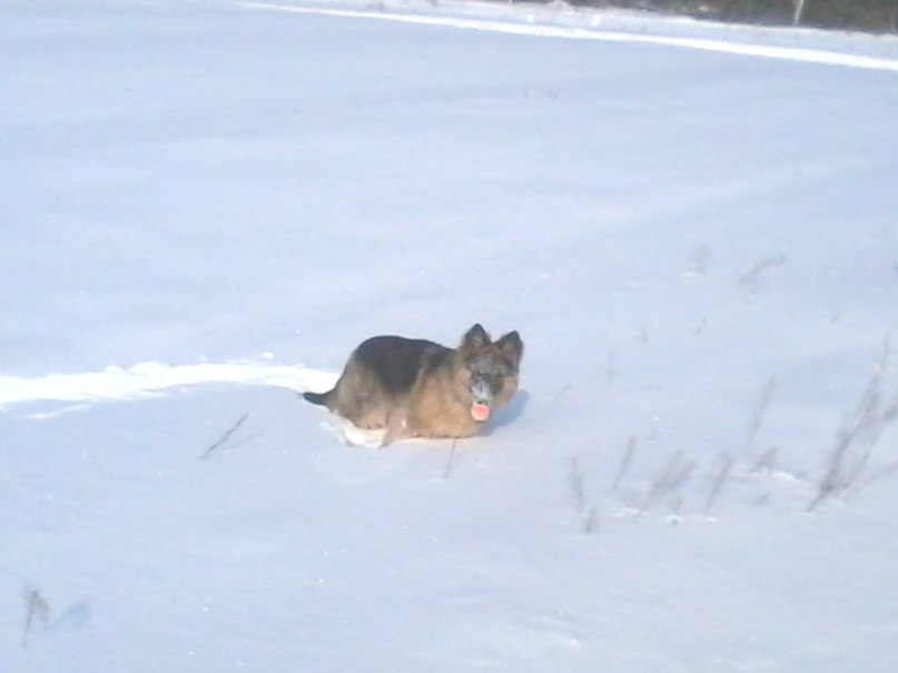 Вадім Кишенко | Сарны