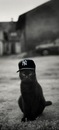 №37 Андрей Итин