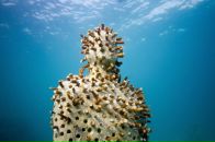 №15, Надежда Воскресенская, 3.12.1988, 37 лет, Санкт-Петербург, Россия