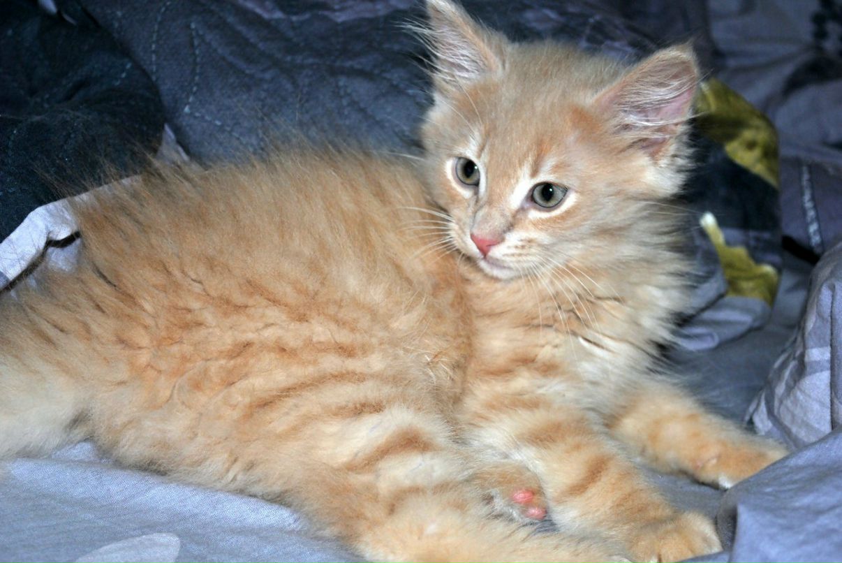 Наташа Никандрова | Светогорск