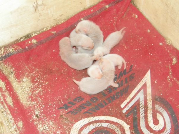 №120, Анна Грамчук, 45 лет, Одесса №120, Анна Грамчук, 45 лет, Одесса