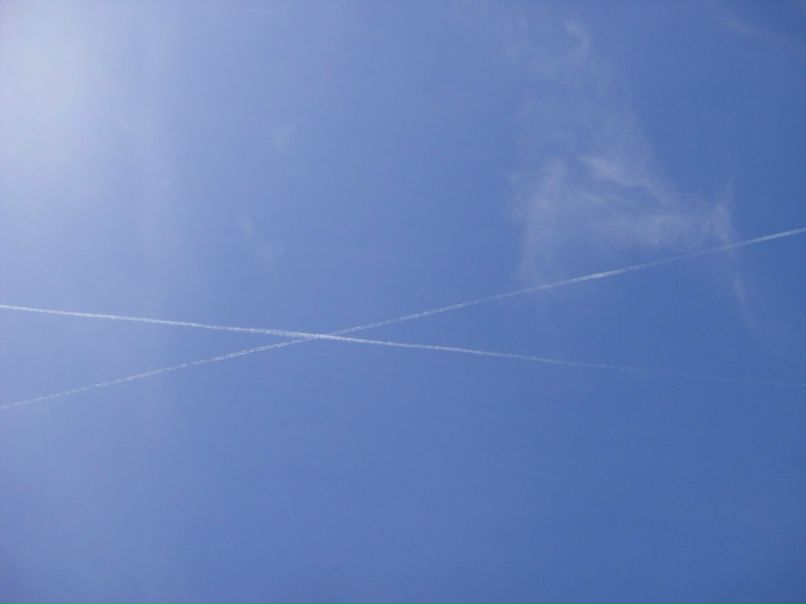 Елена Солодилова | Москва