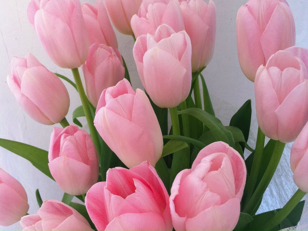 Кристина Дьячкова | Москва