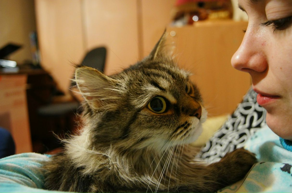 Максим Ергунов | Магнитогорск