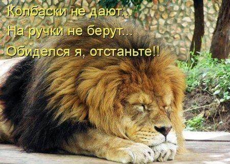 №14, Владислав Цейко, 37 лет, Львов №14, Владислав Цейко, 37 лет, Львов