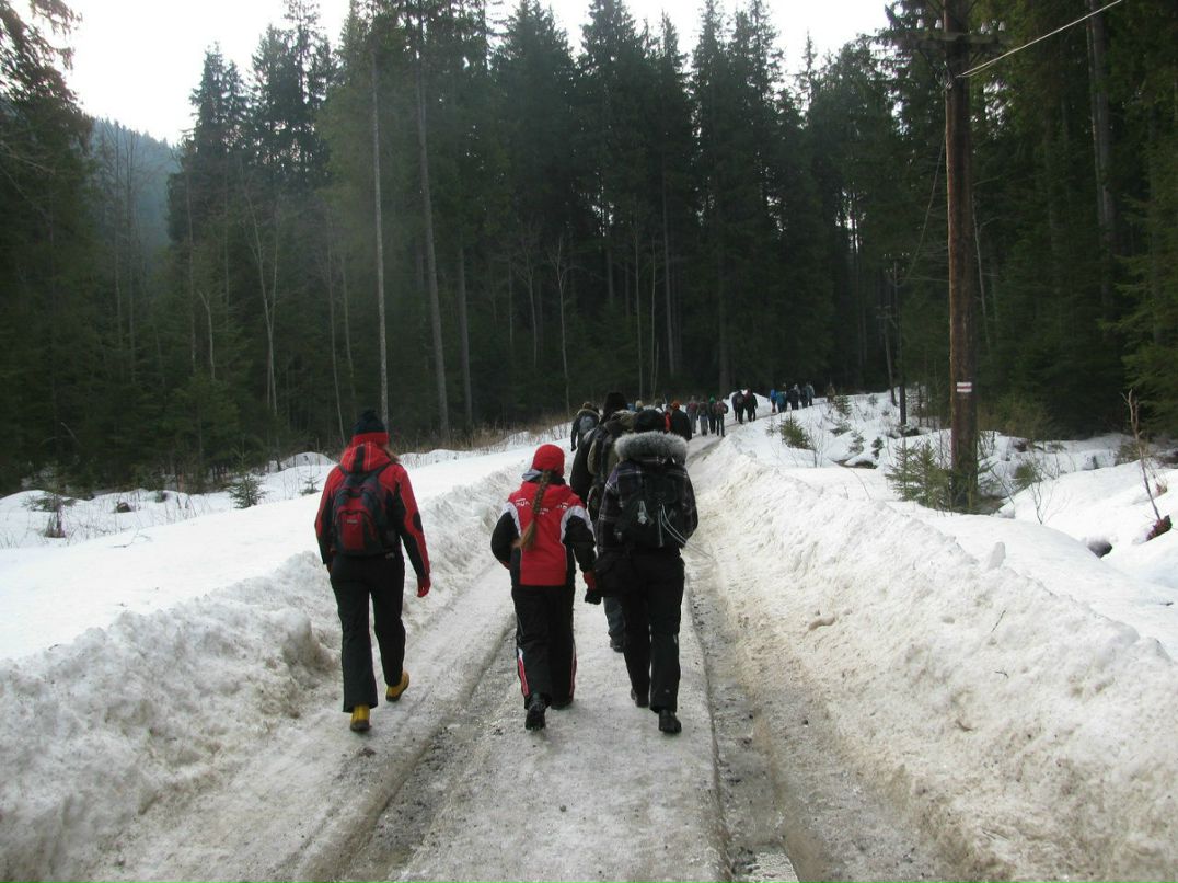 Діма Кохан | 