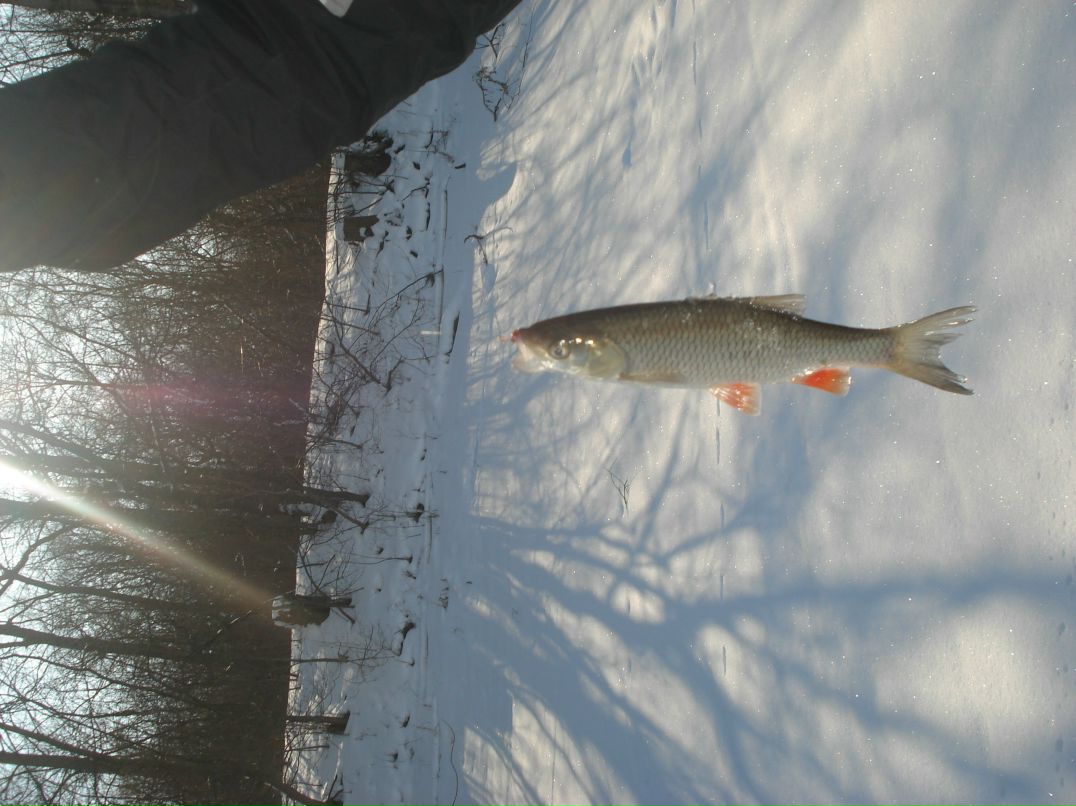 Дмитрий Ганнин | Сумы
