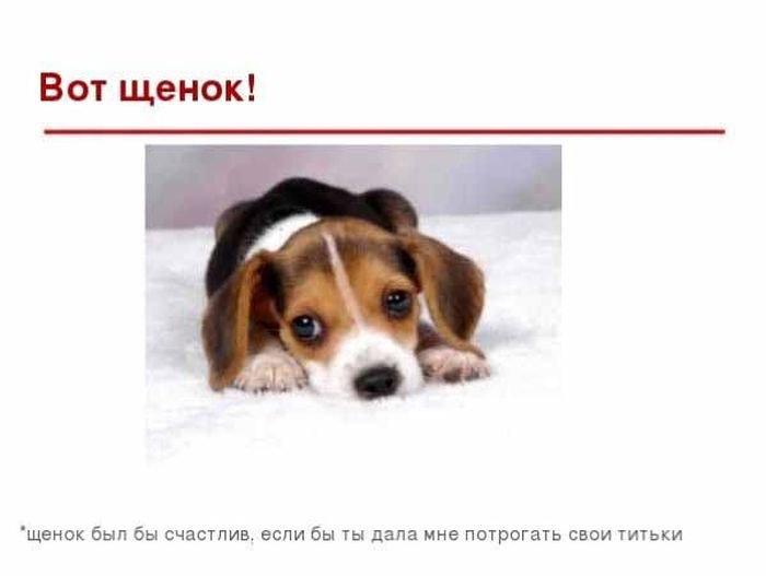 Владик Солнце МеТеор | 