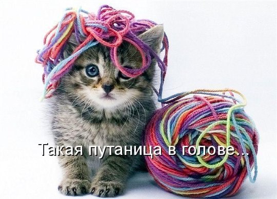 Ольга Иванова | Санкт-Петербург