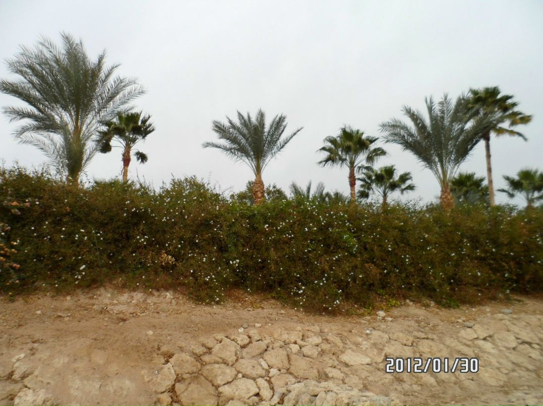 Юра Гемелюк | Киев