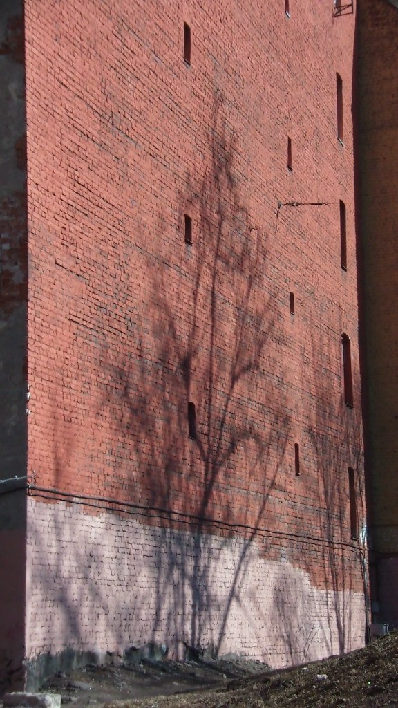 Александр Кузнецов STRADIVARI | Санкт-Петербург