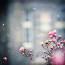 Фотография Наталия Старцева