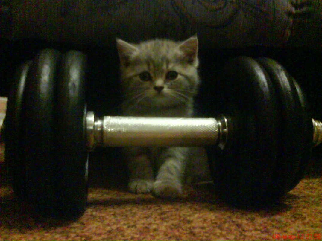 Олег Иршков | Красноярск